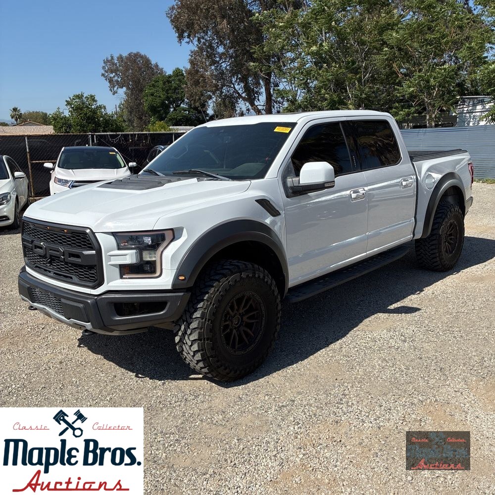 2019 Ford F-150 Raptor