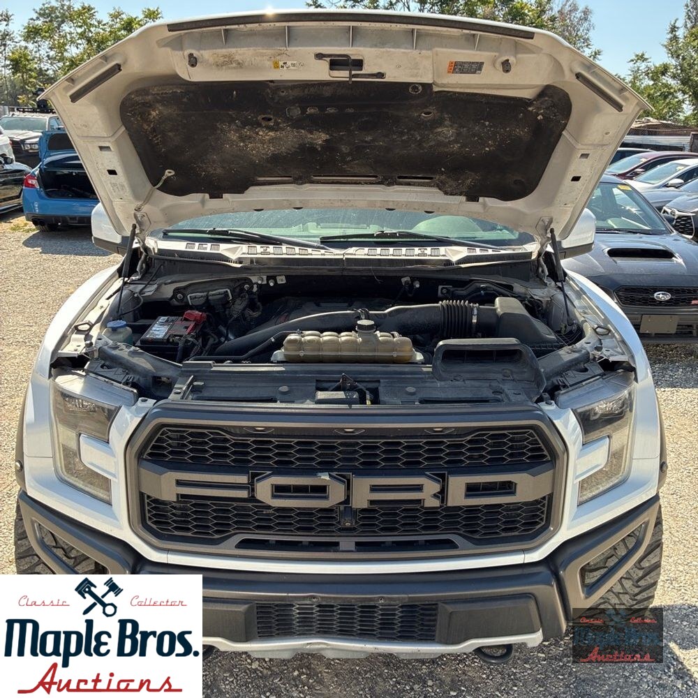 2019 Ford F-150 Raptor