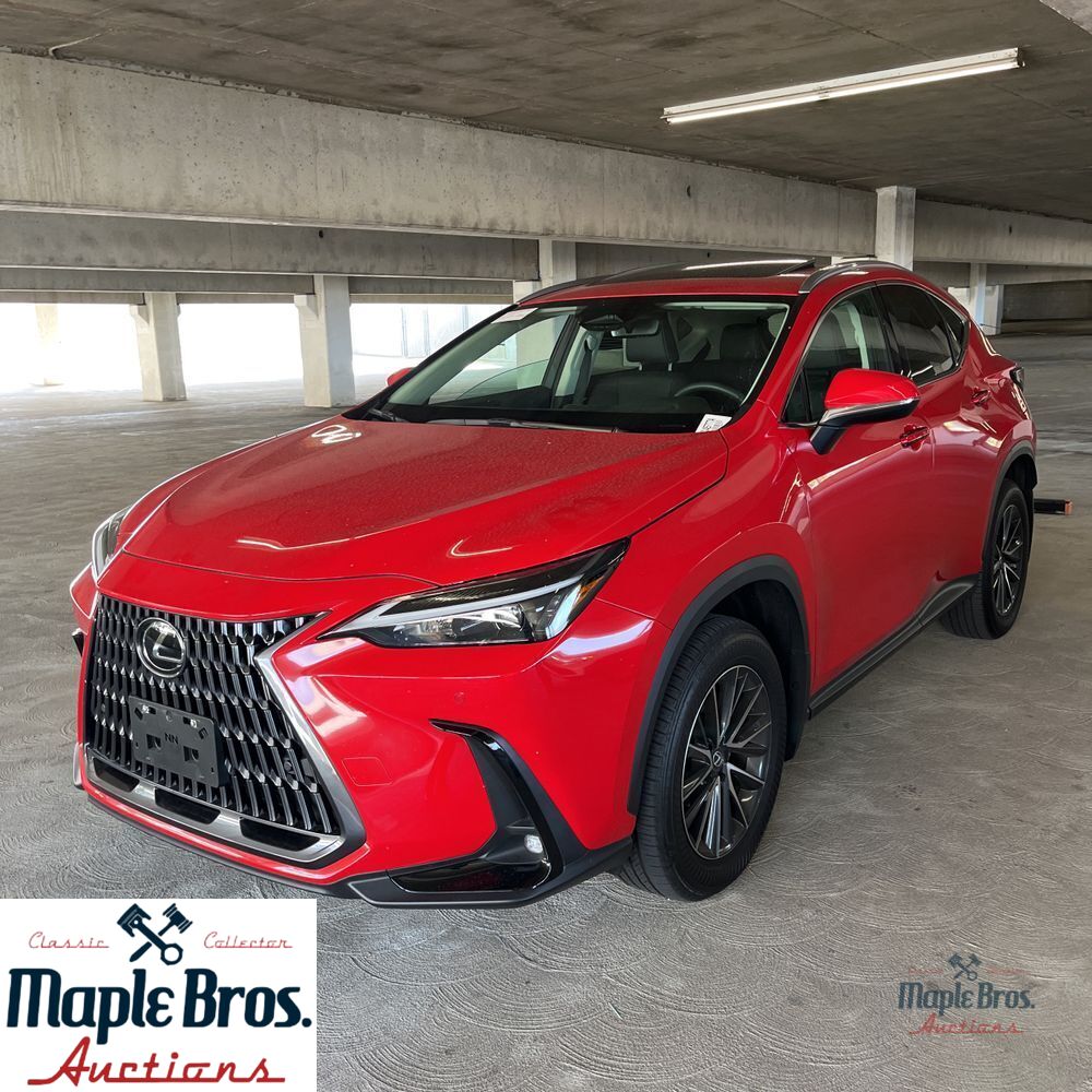 2025 Lexus NX 250 Premium