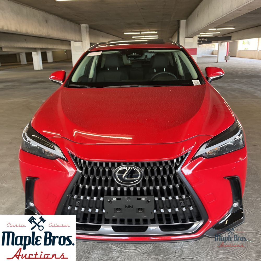 2025 Lexus NX 250 Premium