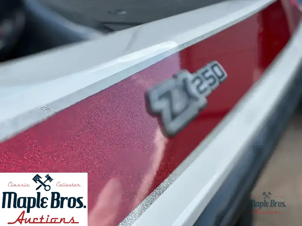 2018 Skeeter ZX250