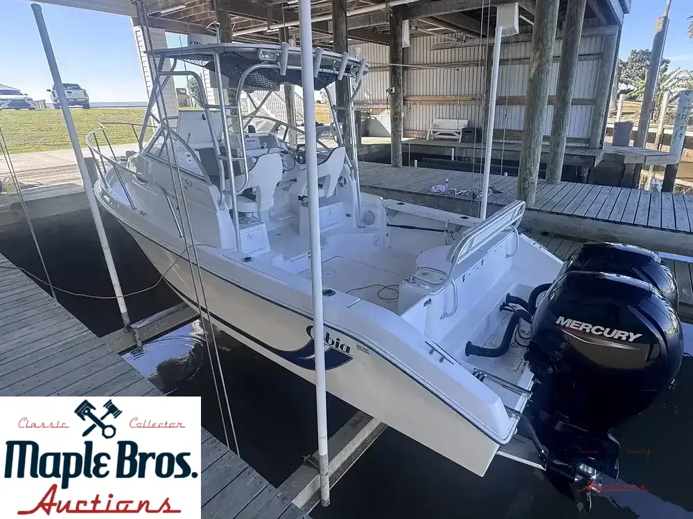 2001 Cobia 250WA