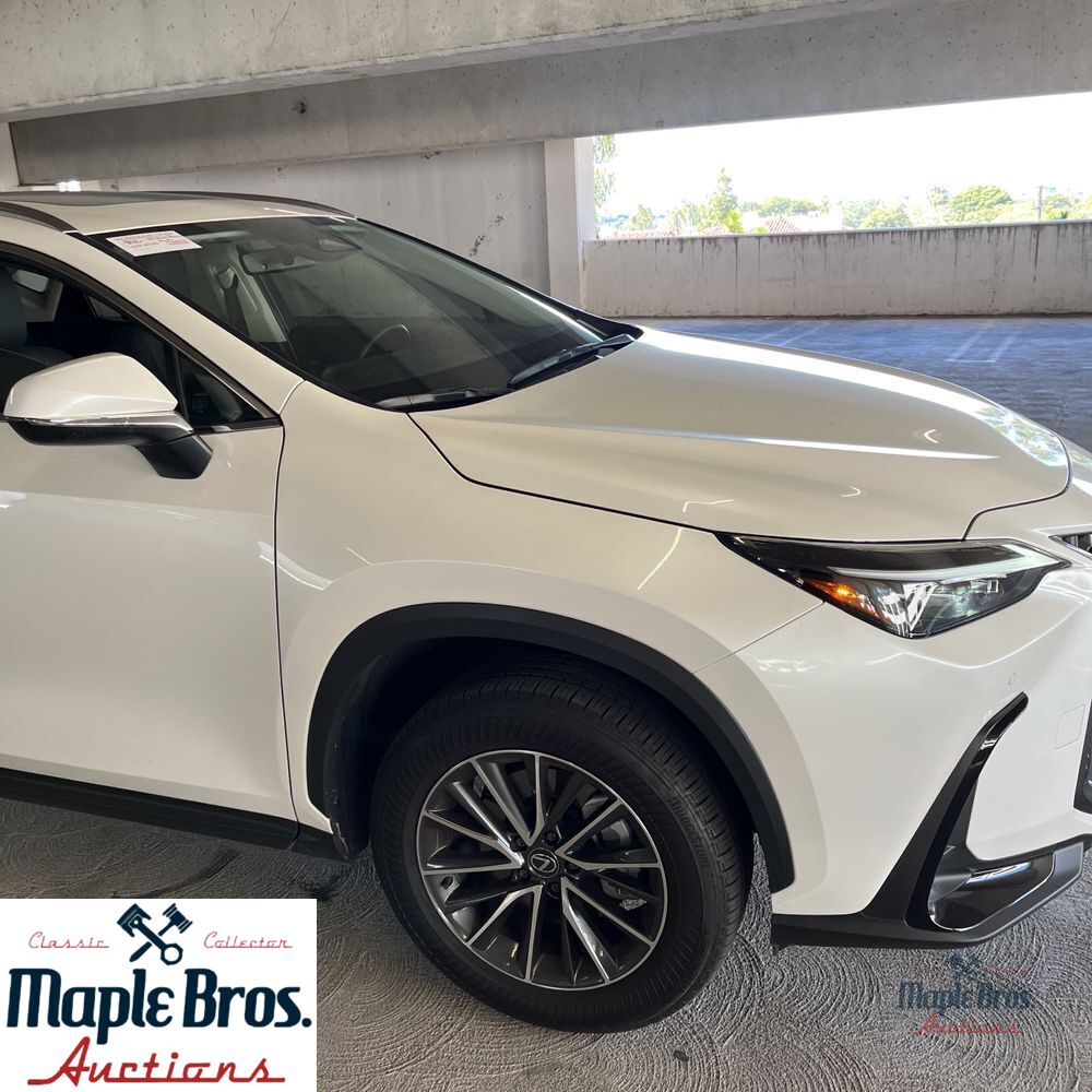 2025 Lexus NX 250 Base