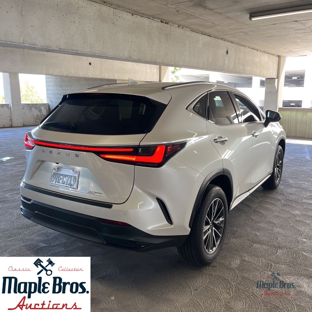 2025 Lexus NX 250 Base