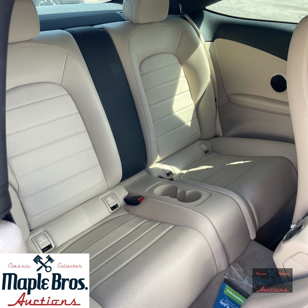 2019 Mercedes-Benz C-Class C 300